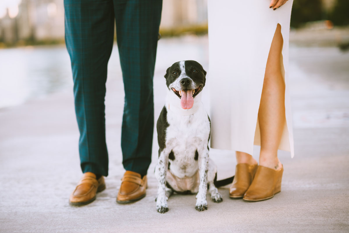 north avenue beach doggie chicago engagement photographer