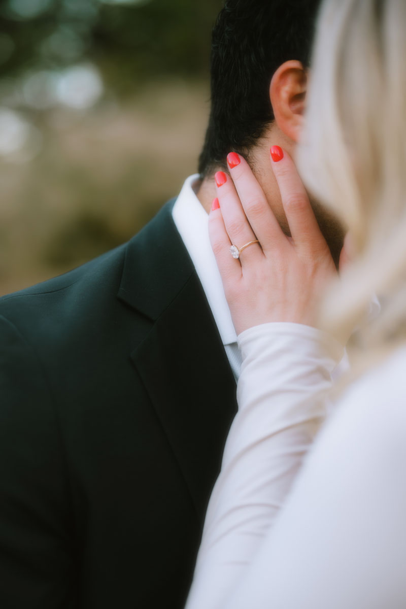 lurie garden fall engagement dreamy light and vibrant photographer